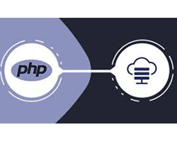 module and plugin logo